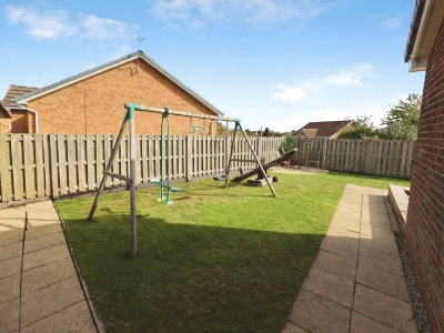 Picture 15